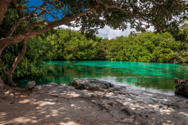 Mexique : Circuit Echappée Mexicaine Classique depuis l'hôtel Bahia Principe Grand Tulum