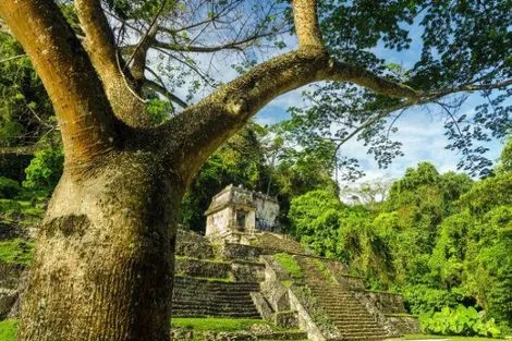 Circuit Mexique, Guatemala, Honduras : diversité du monde maya photo 5