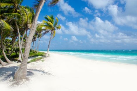 Circuit Premiers regards Mexique et Cancun photo 8