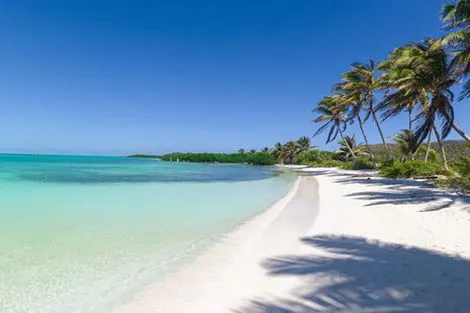 Mexique : Circuit Splendeurs du Mexique & Extension Riviera Maya 15J/12N 2026 Hôtel