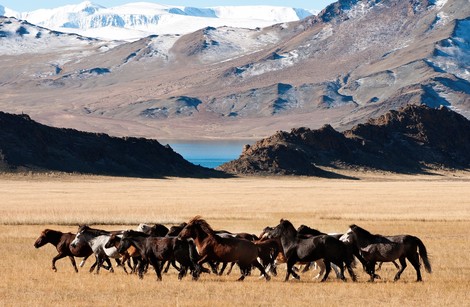 Nature - Circuit Confidentiel Mongolie Oulan Bator Mongolie