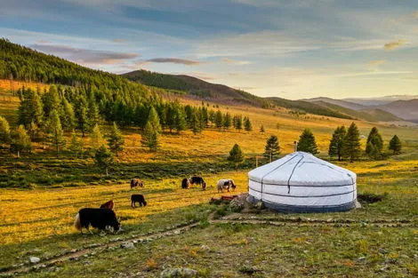 Mongolie : Circuit Au pays des nomades