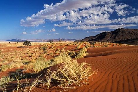 Circuit Premiers Regards Namibie & Kalahari