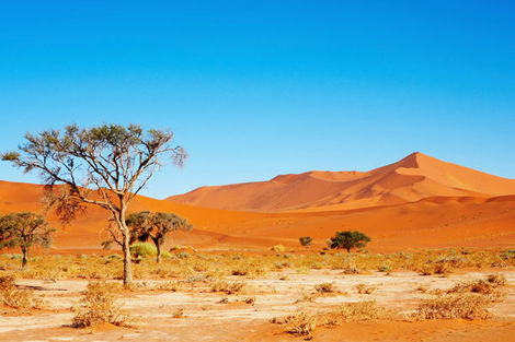 Circuit Premiers Regards Namibie & Kalahari photo 2