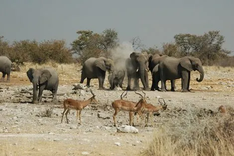 Circuit Splendeurs de Namibie photo 10