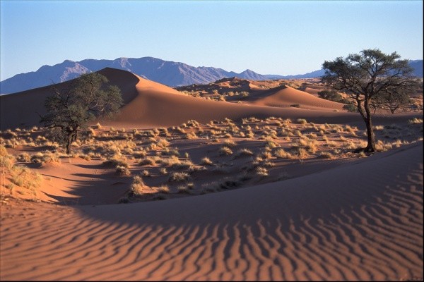 Essentiel Namibie