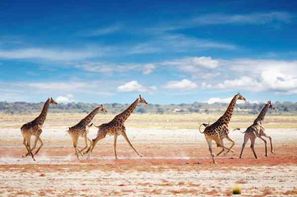 Namibie-Windhoek, Circuit Impressions de Namibie