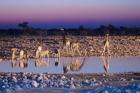 Nature - Circuit Couleurs de Namibie Windhoek Namibie