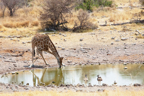 Circuit Premiers Regards Namibie photo 8