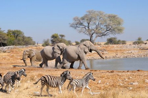 Namibie : Circuit Splendeurs de Namibie & Séjour Chutes Victoria - Limité à 22 pers.