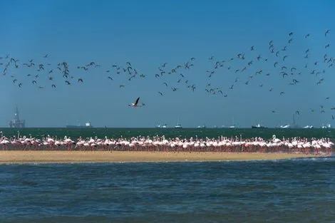 Namibie : Circuit Splendeurs de Namibie & Séjour Fish River Canyon & Chutes Victoria - 2026