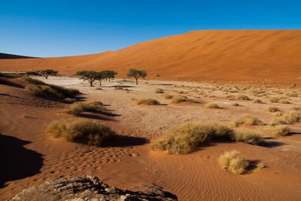 Namibie : Circuit Splendeurs de Namibie & Séjour Fish River Canyon - Limité à 22 pers.