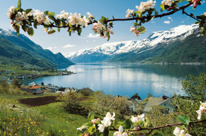 Norvege-Oslo, Circuit Indispensable Terre des Fjords