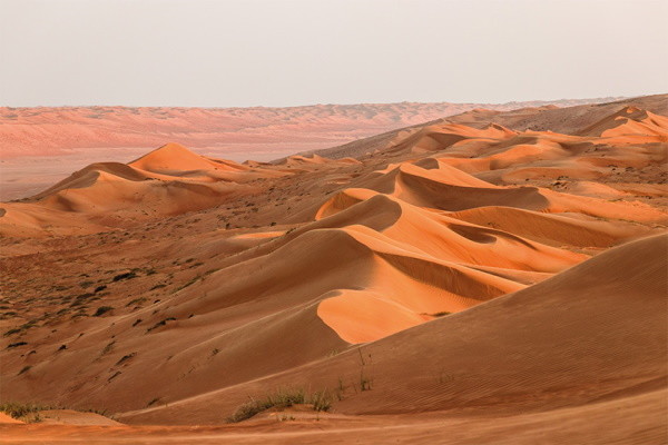 Oman : Circuit Le Sultanat d'Oman