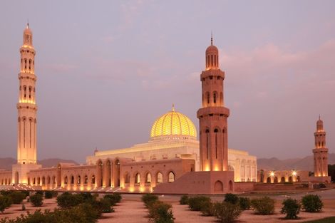 Circuit Splendeurs d'Oman et des Emirats photo 7