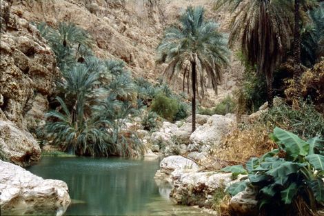 Circuit Splendeurs d'Oman et des Emirats photo 3