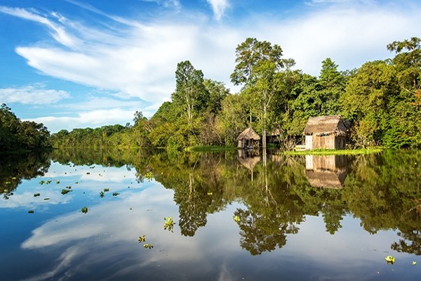 Amazonie