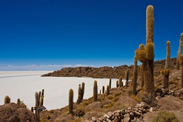 Circuit Pérou-Bolivie