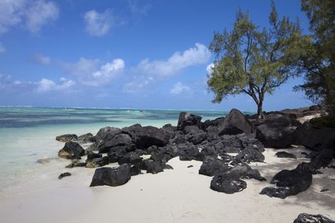 Combiné circuit et hôtel FRAM Douces îles Vanille photo 10