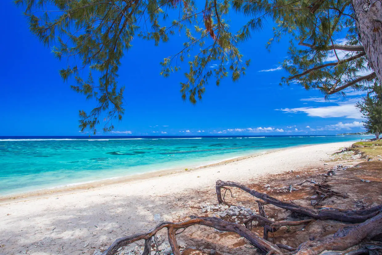 Reunion : Circuit Intense Réunion, logement au Nautile