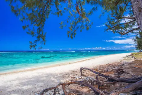 Reunion : Circuit Intense Réunion, logement au Nautile