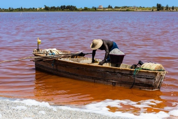 Lac rose - Splendeurs du Sénégal