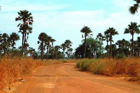 Circuit FRAM Grand Tour du Sénégal + Extension Framissima Palm Beach photo 3