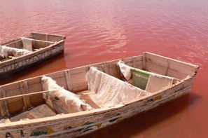 Senegal-Dakar, Circuit Mythes & Charmes du Sénégal - 4 sites UNESCO