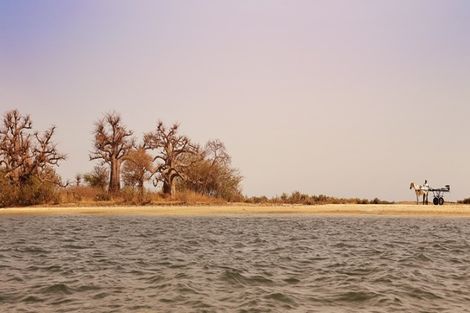 Circuit Joyaux du Sénégal photo 6