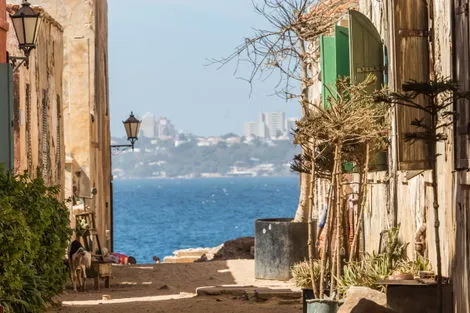 Circuit Splendeurs du Sénégal