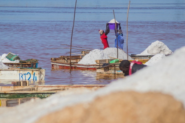 Senegal : Circuit Au Coeur du Sénégal