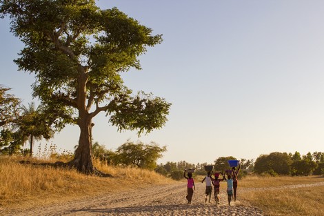Circuit Beautés et sensations en pays Bassari en privatif Senegal Dakar