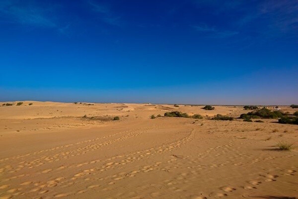 Senegal : Circuit Immersion au Sénégal & extension plage à la Somone - Limité à 12 pers.