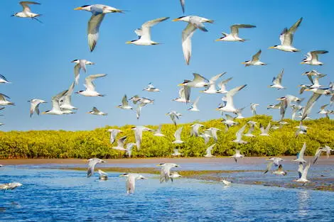 Senegal : Circuit Les Oasis du Sénégal