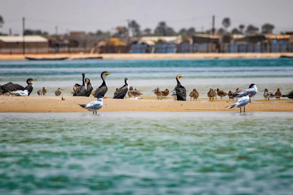 Senegal : Circuit Sénégal, entre savane et plage du Framissima Palm Beach