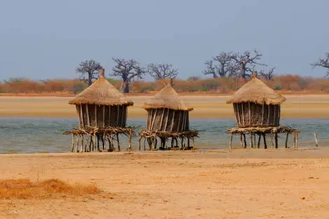 Senegal : Circuit Sénégal, entre savane et plage du Framissima Riu Baobab