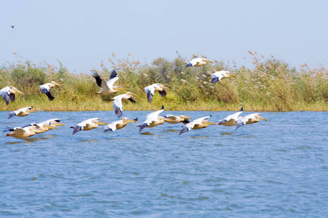 Circuit FRAM Découverte du Sine-Saloum