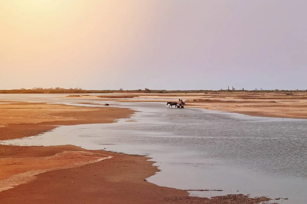 Nature - Circuit Découverte du Siné-Saloum Dakar Senegal