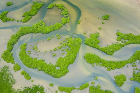 Circuit Rives du Saloum & Casamance