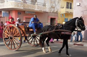 Senegal-Dakar, Circuit " Les Chefferies du Sénégal " - 6 sites UNESCO