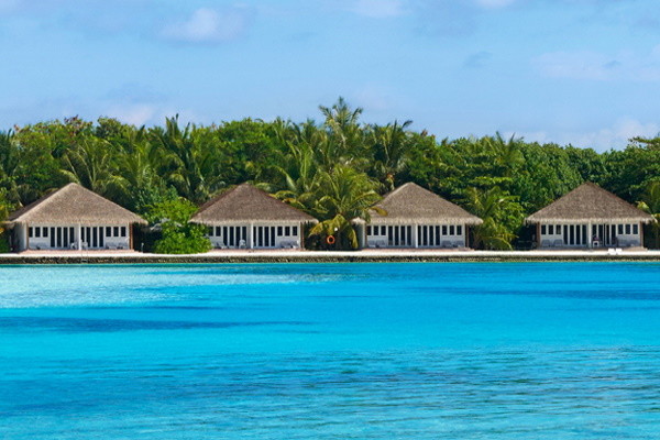 Sri Lanka : Circuit Des merveilles du Sri Lanka aux plages des Maldives en privatif 2025