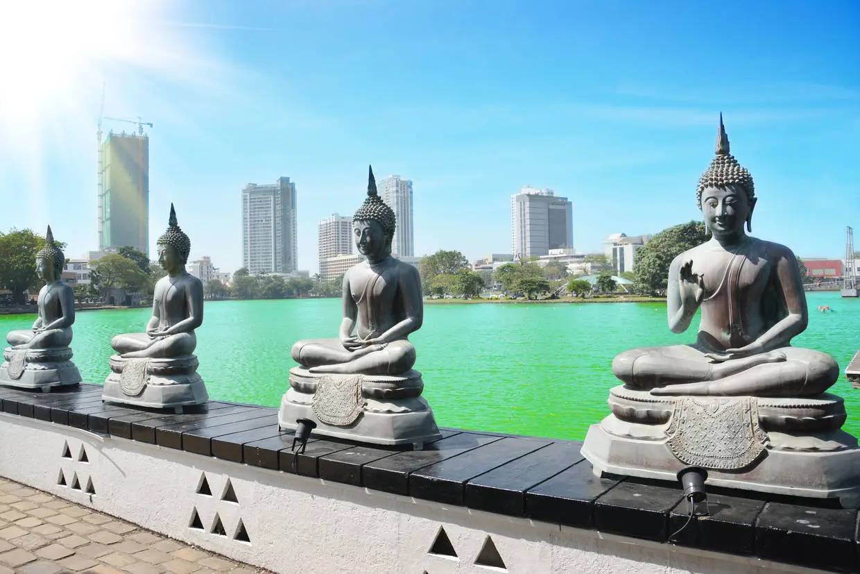 Sri Lanka : Circuit Les Incontournables du Sri Lanka