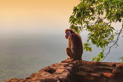 Sri Lanka : Circuit Splendeurs Insolites de Ceylan (collectif)