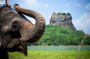 Sri Lanka-Colombo, Circuit Ceylan, Royaume des Eléphants