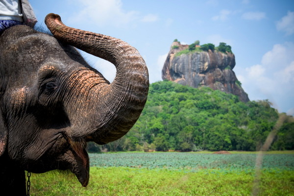 Nature - Circuit Ceylan, Royaume des Eléphants Colombo Sri Lanka
