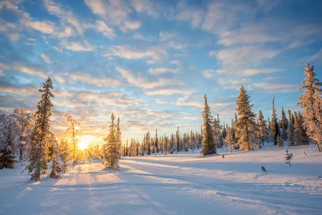 Nature - Circuit La Laponie : L'Hiver lui va comme un Gant! Lulea Suede