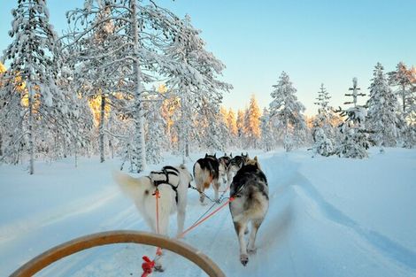 Nature - Circuit Echappée en Laponie Suédoise Lulea Suede