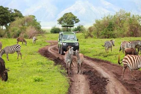 Circuit Premiers regards Tanzanie photo 4