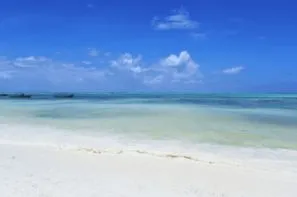 Tanzanie-Arusha, Circuit De la savane africaine à l'Île aux Epices, plages de Pingwe- privatif