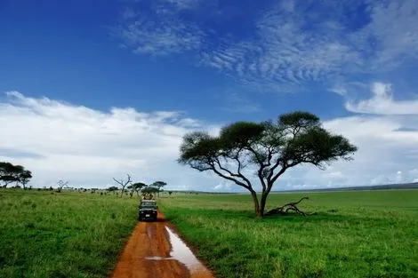 (fictif) - Circuit Merveilles de Tanzanie Kilimanjaro Tanzanie